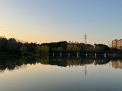 -昆山城市生态森林公园