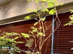 -森SPA·泰式按摩·精油Massage(宝安中心店)