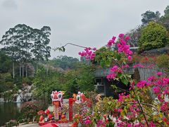 -华莱士·全鸡汉堡(越秀云台花园店)