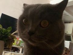 -贝利宠物医院·骨科·眼科·肿瘤转诊中心(南坪诊疗中心)