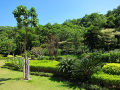 -野狸岛