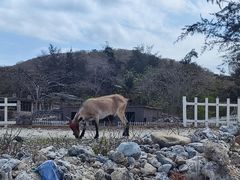 -三亚西岛海洋文化旅游区