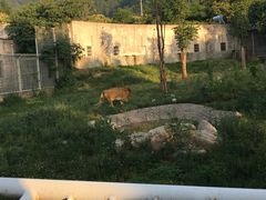 -西安秦岭野生动物园