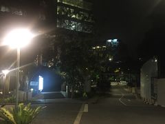 -新加坡柏薇罗切斯特酒店