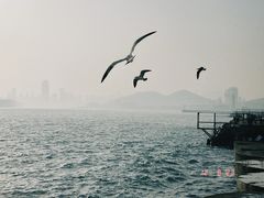 -星海广场