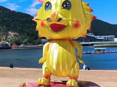 -大连老虎滩海洋公园