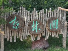 景点-武清南湖绿博园