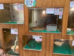 -上海大自然野生昆虫馆(东方明珠·爬宠昆虫探索中心)