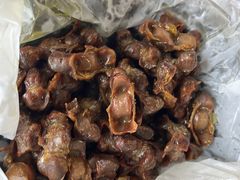 -鸽鸟轩(石岐店)