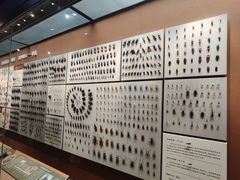 -天津自然博物馆