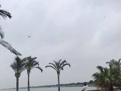 游乐设施-海鸥岛