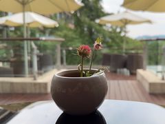 -逸廊大堂吧-下午茶·简餐-千岛湖自由洲际殿