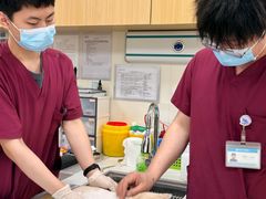 -美联众合动物医院·24h京西诊疗中心