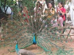 -昆明动物园