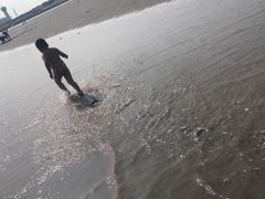 -南汇嘴观海公园