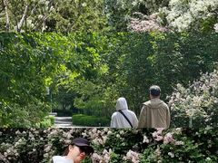 -国家植物园南园