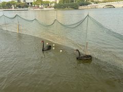 -江南大学(蠡湖校区)