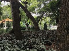 -东山湖公园