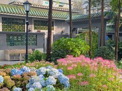 -荔湾湖公园