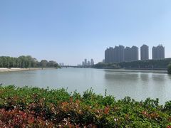 -沙澧河风景区