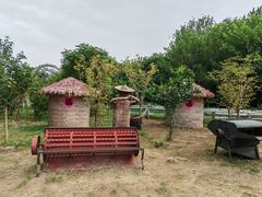 -溱湖国家湿地公园