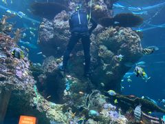 -新加坡海洋生态馆