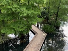 -云溪植物园