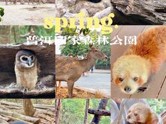 -普洱太阳河森林公园