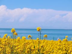 -青海湖国家重点风景名胜区