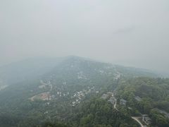 -大金鹰园