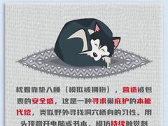 -翊宠yipet猫狗购宠庄园犬舍•猫舍