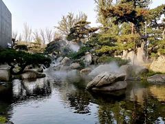 -罗红摄影艺术馆