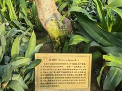 -国家植物园南园