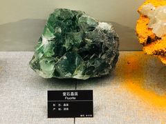 -甘肃地质博物馆