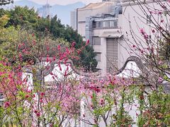 -乌山风景区