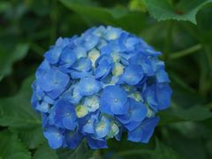 -上海滨江森林公园