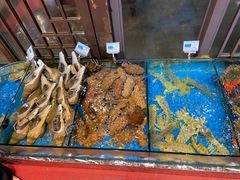 -吴记富苑(朝阳店)