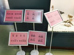 -盐城丹顶鹤湿地生态旅游区