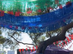 -芦仙山景区-飞越丛林探险乐园