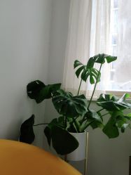 -乐活概念专业皮肤管理连锁