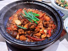 -欧记大排档·景德菜(上海首店)