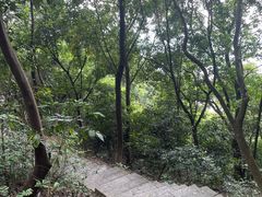 -火炉山森林公园