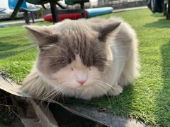 -小鱼草莓采摘园农家乐·小鱼餐厅