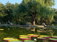 -国家植物园南园