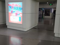 -龙阳路磁悬浮列车总站-停车场