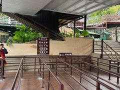 -海南槟榔谷黎苗文化旅游区