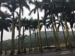 -马家斑.鲜鱼火锅(松湖万科店)