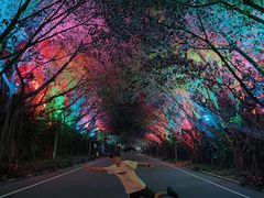 -东南花都花博园