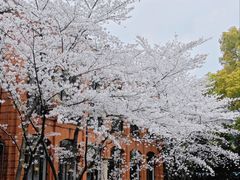 -上海瑞金洲际酒店