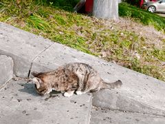 -开福禅寺